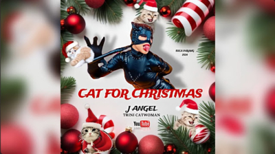Cat for Christmas by J Angel: Help Needed!