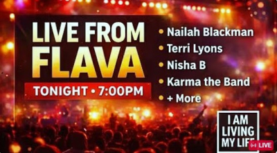 All Angles on FLAVA: Before, During, and After the Fête