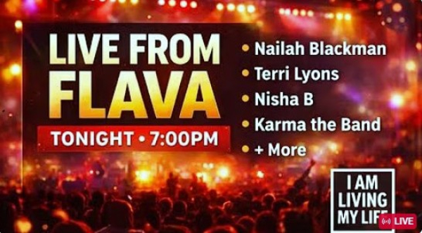 All Angles on FLAVA: Before, During, and After the Fête